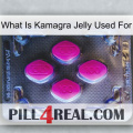 What Is Kamagra Jelly Used For 02